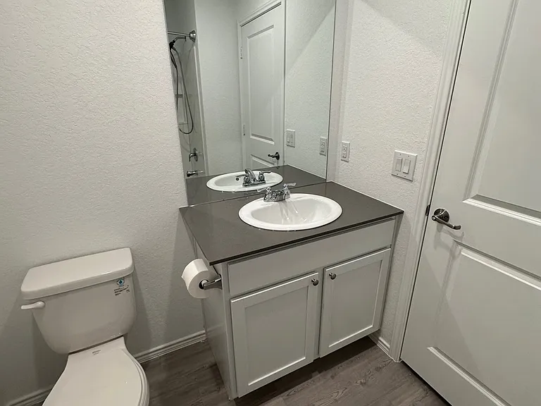 Secondary Bath Sink and Commode
