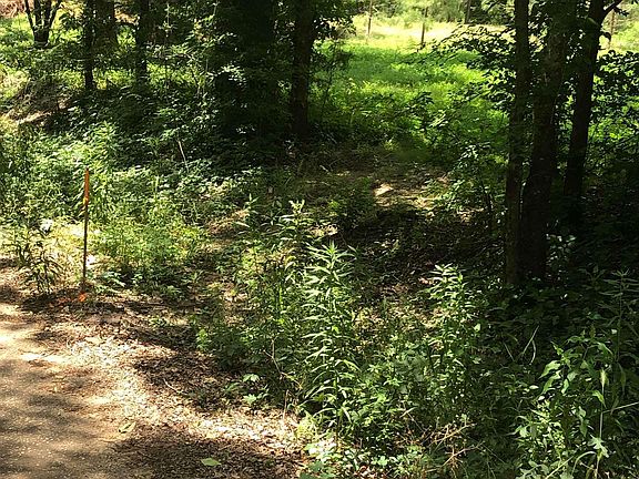 2nd image of 18175 County Road 359