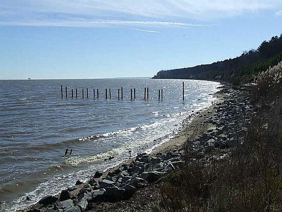 3rd image of 1237 Lawnes Neck Dr