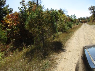 Timber Trail Ct, Lewiston, MI, 49756