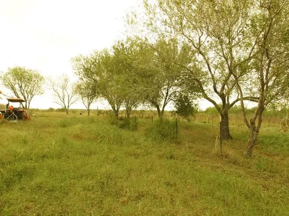 29833 Fernando East Rd, Rio Hondo, TX 78583