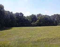 1st image of 575 East