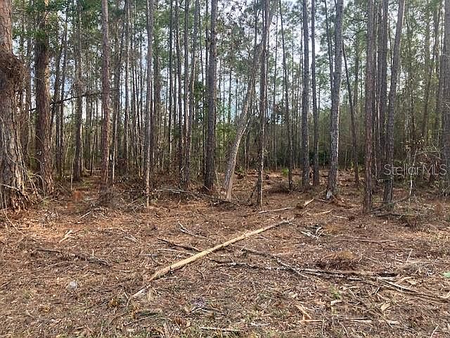 2nd image of 4515 MAHOGANY BOULEVARD LOT 3