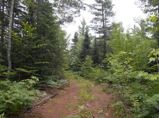 38345 W Betsy River Rd, Paradise, MI 49768