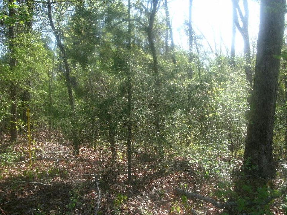 2nd image of 782 Sandy Creek Rd