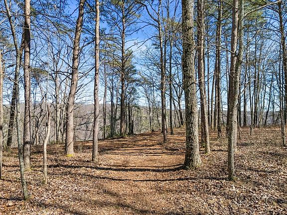 5th image of 0 Bridal Veil Rte Lot 3