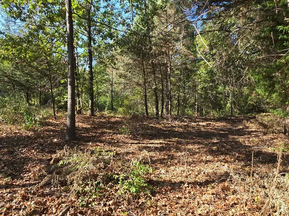 0 Hinchey Rd, Pinckney, MI 48169