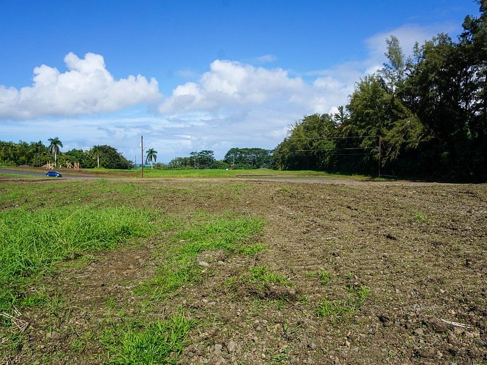 2nd image of Ohiohi St Lot 19