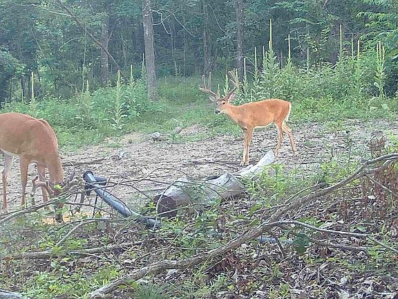 2nd image of 0 Hinkley Hollow Rd