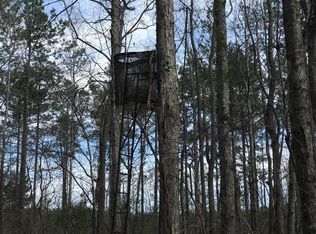 3399 Mound Rd NE, Wesson, MS 39191