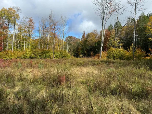 0 Pleasant Way, Pleasant Mount, PA 18453