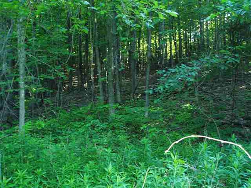 5th image of 0 COUNTY HIGHWAY 34A