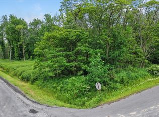 0 South Rd LOT B, Brooktondale, NY 14817