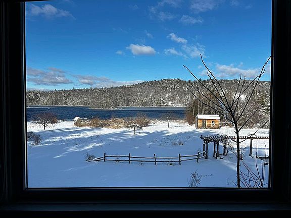 Winter in the backyard 