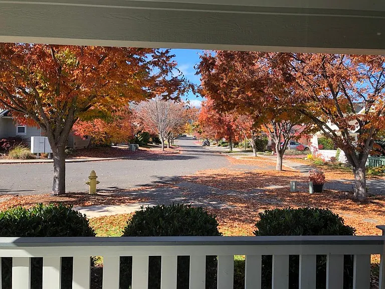 Front porch view