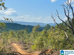 0 Borrowed Acres Rd #200, Goodwater, AL 35072