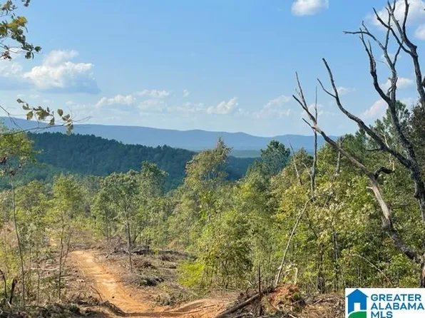 0 Borrowed Acres Rd #200, Goodwater, AL 35072