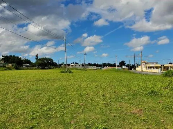 State Highway 174, Bayamon, PR 00959