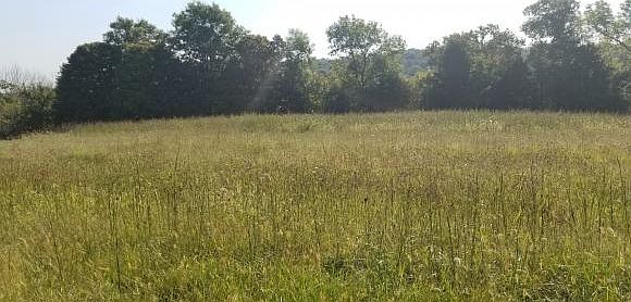 2nd image of Spring Branch Rd