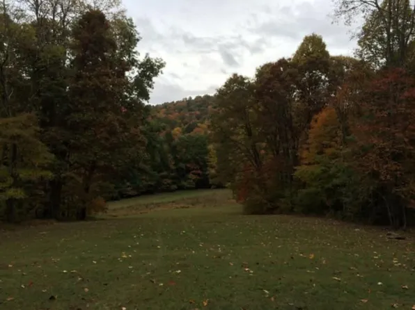 1099 Hominy Creek Rd, Mount Nebo, WV 26679