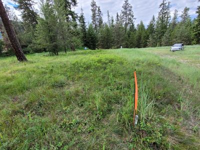 Nhn Mossy Rock Ct, Thompson Falls, MT, 59873