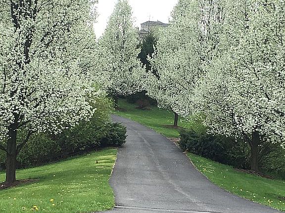 Private driveway