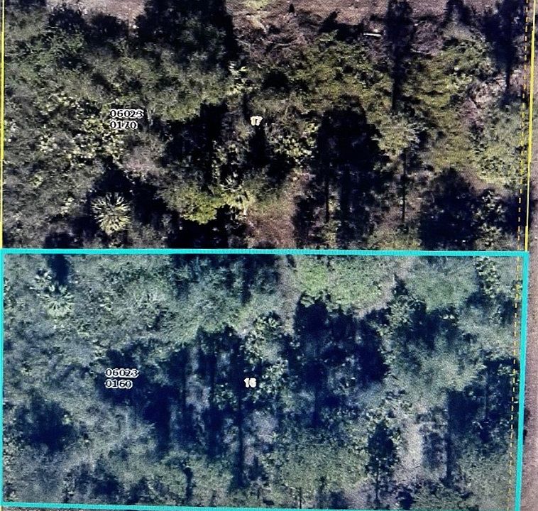 1st image of 1307 & 1309 Pine Ave