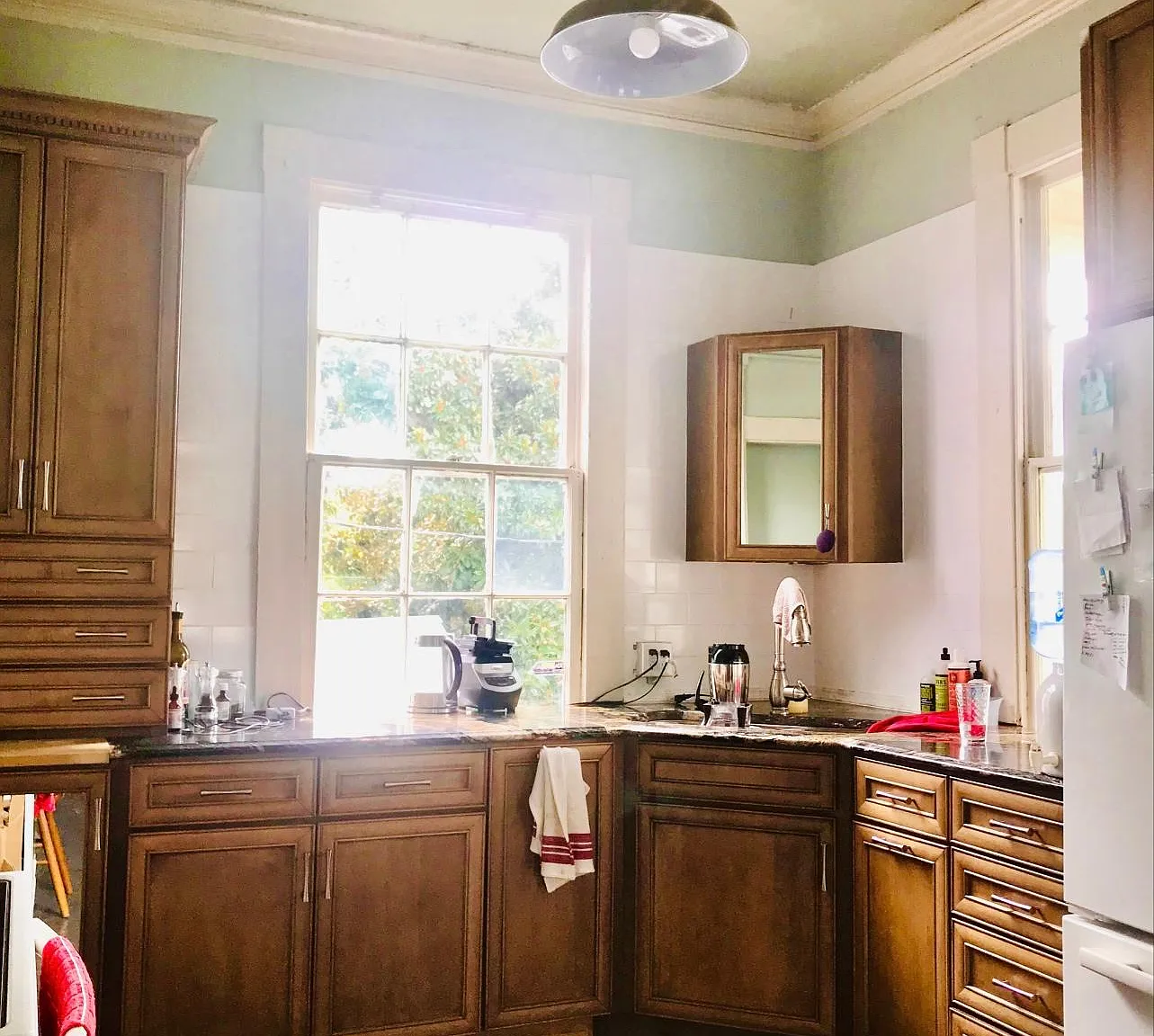 1 bed, 800 sqft, $1,500 — Photo 3