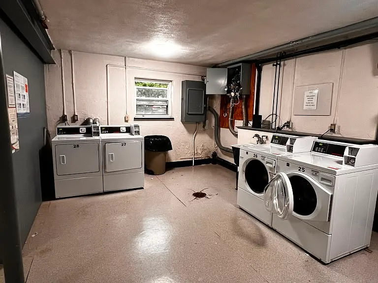 262 Grove St #4 — Photo 25