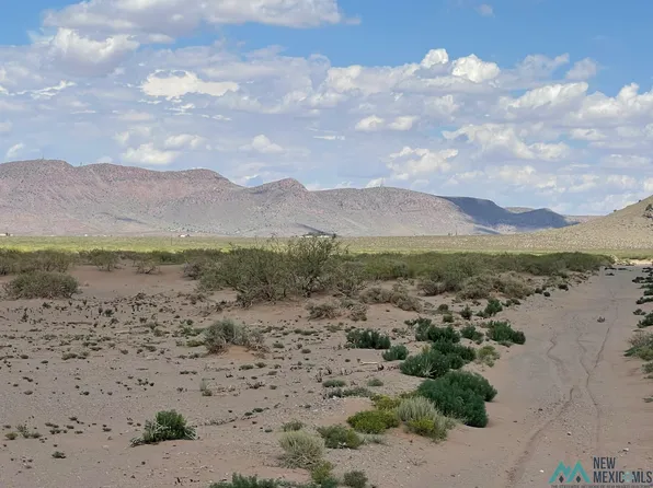 Xxxx Tamarack Rd SE, Deming, NM 88030