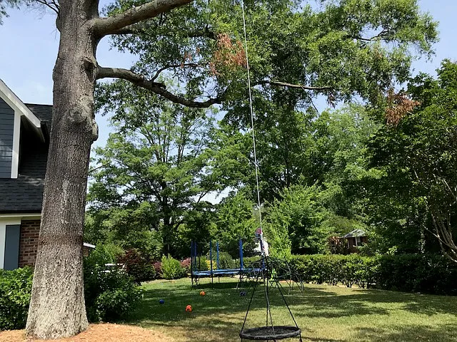 Scaleybark Rd — Photo 14