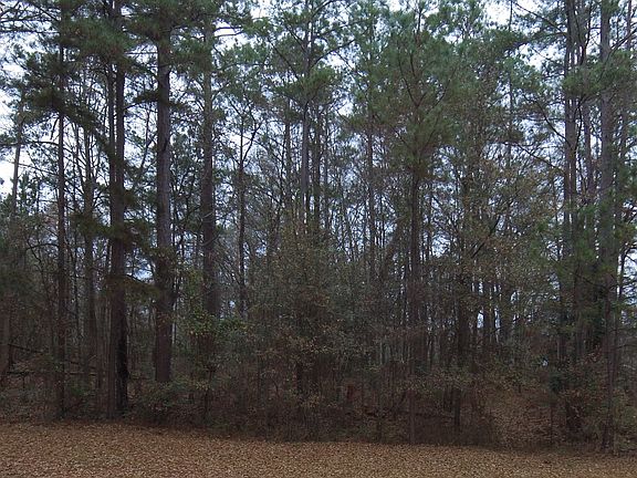 Lot from ground level