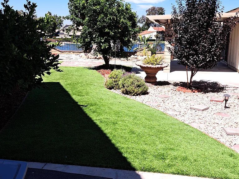 Side yard