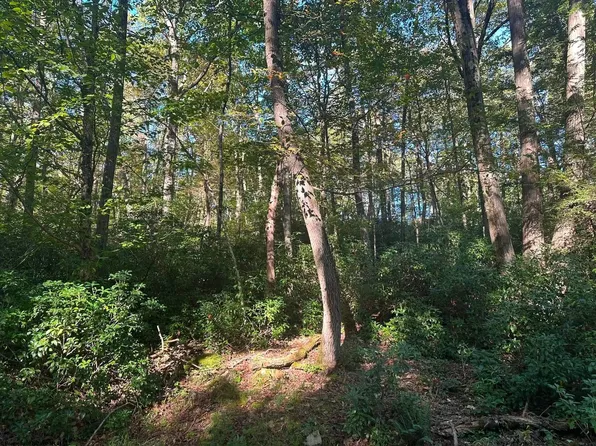 172 & 173 Dogwood Ln, Terra Alta, WV 26764