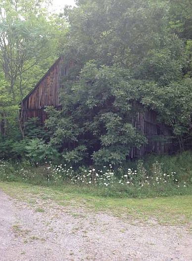 Barn