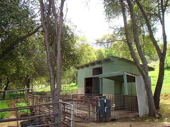 3rd image of 5314 Dogtown Rd