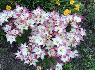 10 Burleigh Hill Rd, Sanbornton, NH 03269