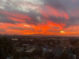 1995 Molino Ave, Signal Hill, CA