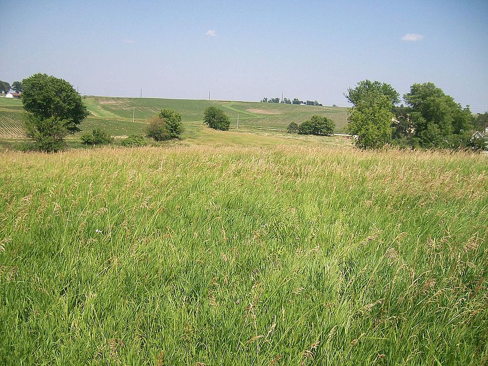 From hill-top looking east
