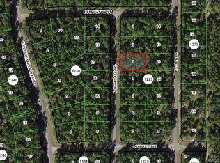 9447 N Irondale Rd, Citrus Springs, FL 34434