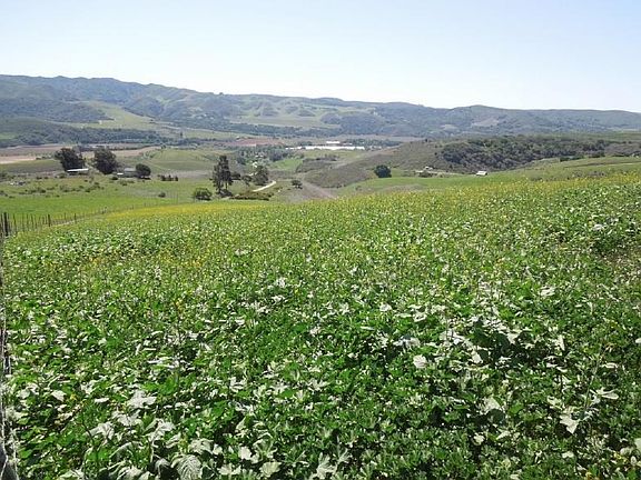 South-facing hillsides, gorgeous views!