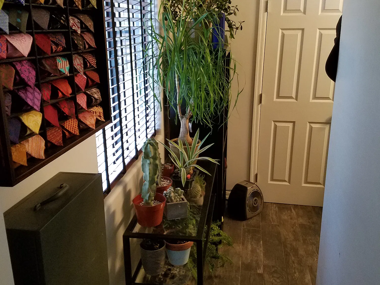 3 bed, 1300 sqft, $2,950 — Photo 3