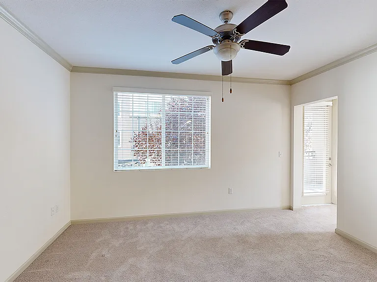 Apartment living room with plush carpet flooring.