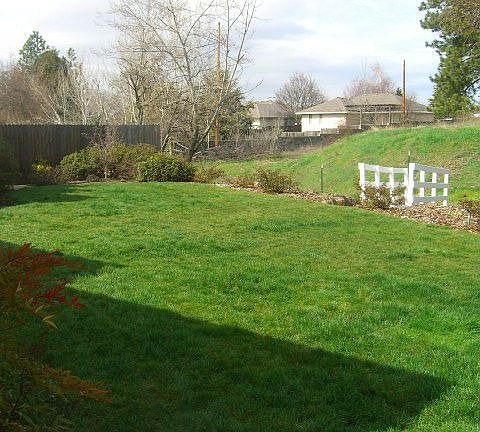 Backyard year round creek/bridge