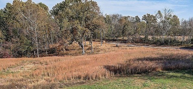 2nd image of 4459 Gunn Rd