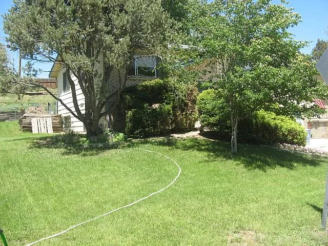 11001 Summer