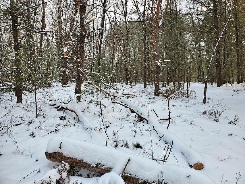 2nd image of 0 N Centerline Rd