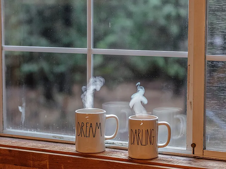Window View