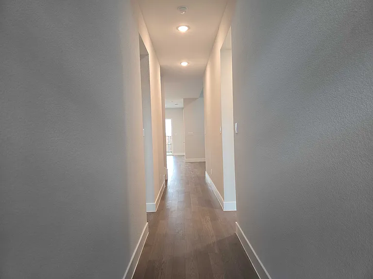11539 Pinot Dr — Photo 4