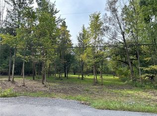 Billington Rd #19, East Aurora, NY 14052